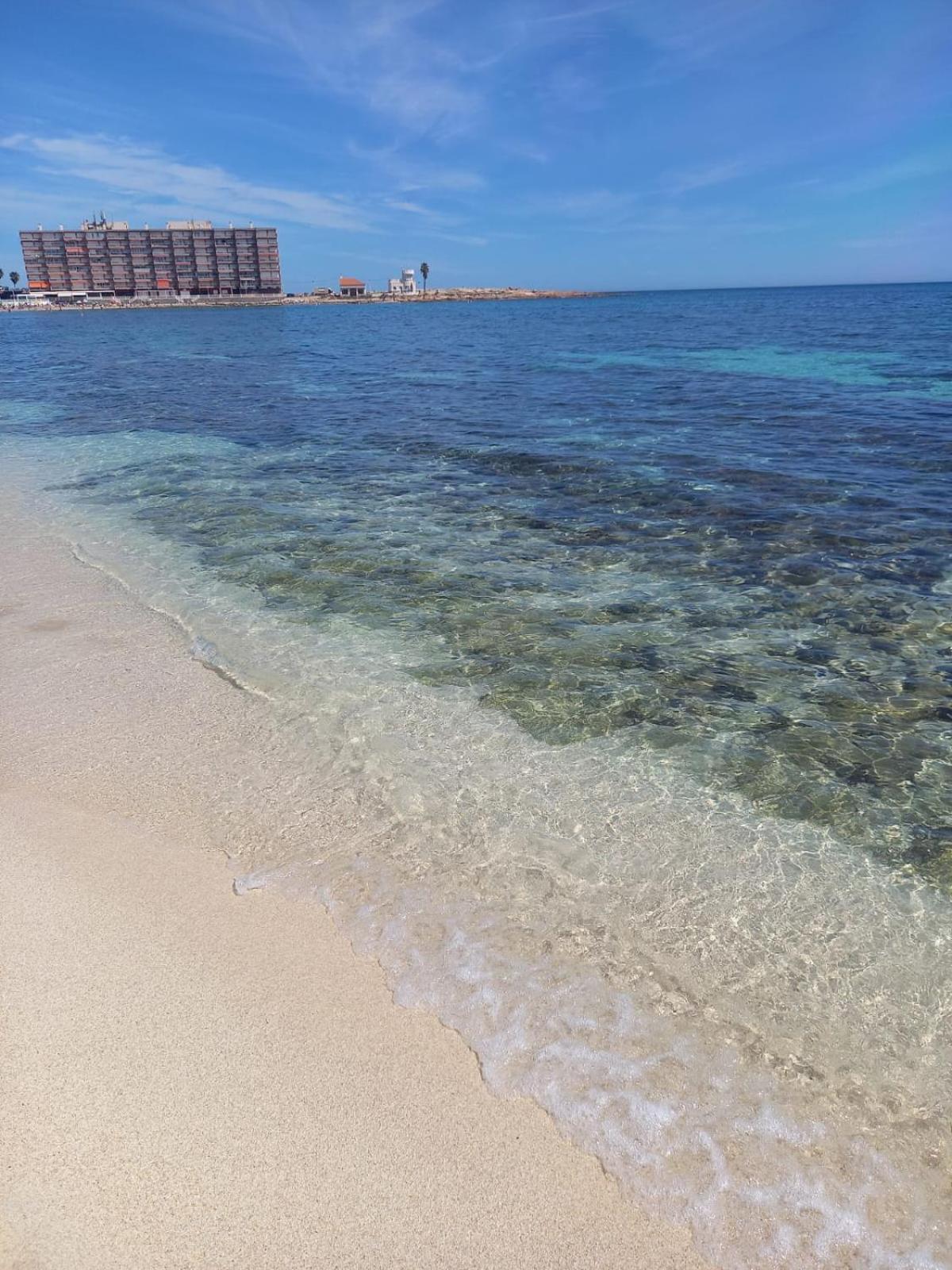 Sea View Luxury Apartment Victoria Torrevieja Eksteriør bilde